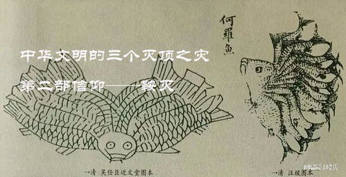 灭顶之灾的意思