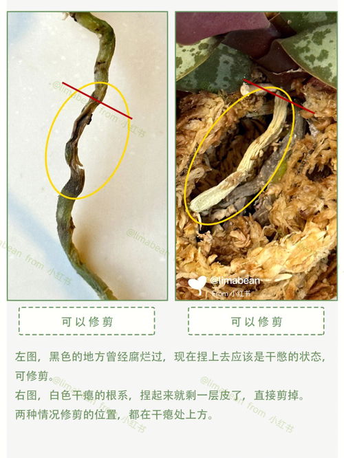 一根筋的女人的特征，一根筋的人怎么样才能改变