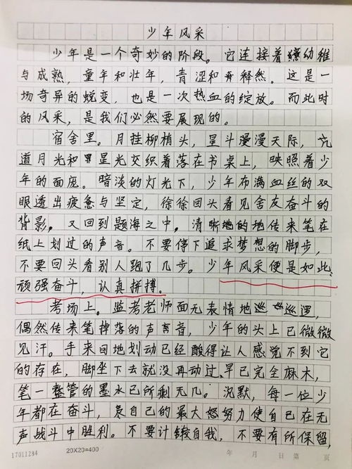 我爱我的祖国作文