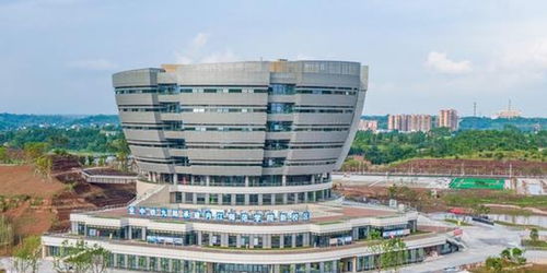 内江师范学院学生工作处
