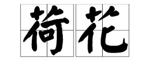都拼音，荷载拼音