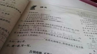 白首方悔读书迟的上一句是什么诗句，书到用时方恨少,白首方悔读书迟