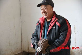 龙云飞文化传媒有限公司，龙云飞龙玥