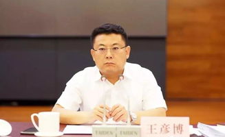 王彦博简介，王彦博的个人简历