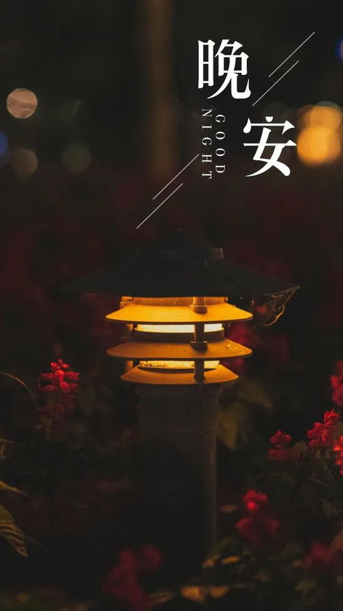晚安语录经典语录暖心图片，晚安语录经典语录暖心五十字