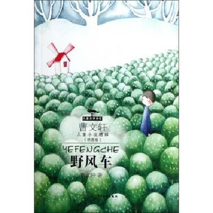 山上有个大风车拼音，风车拼音怎么写的拼音