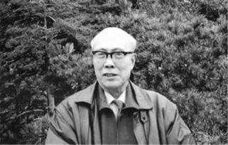 陈沂的人物履历