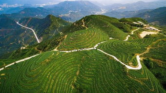平和大芹山平和大芹山威士忌酒业