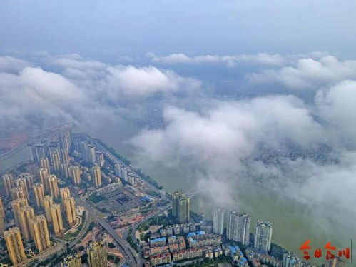 历史上宋代是谁镇守襄阳城?蒙古皇帝蒙哥又是怎么死的?在什么地方死的