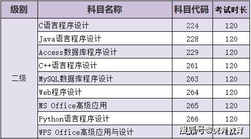 计算机水平怎么填?
