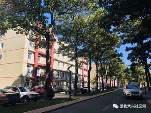 北京狼垡为什么不拆迁