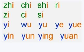 声母,单韵母,复韵母,整体认读音节是哪些