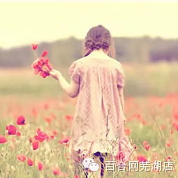 娴静的反义词_娴静的近义词_娴静的词语解释