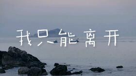 不容然后见君子，不容本宫放肆本宫也放肆多回了