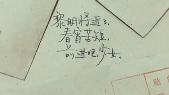 你谦我让ppt，你谦我让中班教案