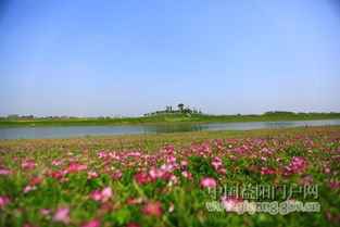 “岸芷汀兰,郁郁青青”描述的是什么季节?