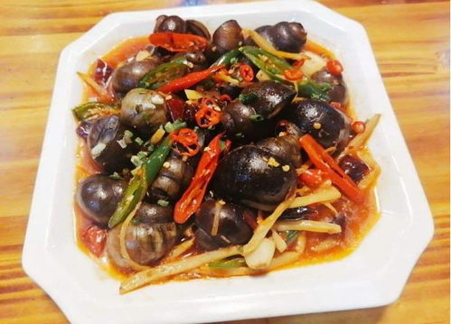 炒螺怎么炒好吃