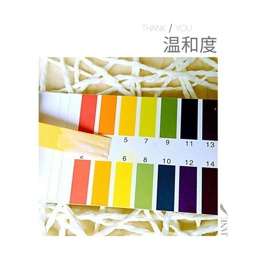 浸透是什么意思