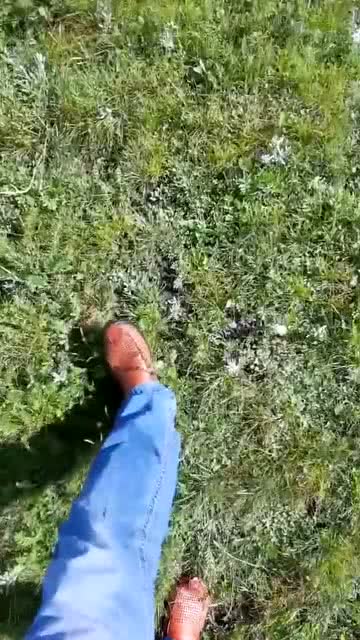 跌跌撞撞意思解释
