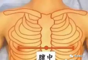 飧怎么读