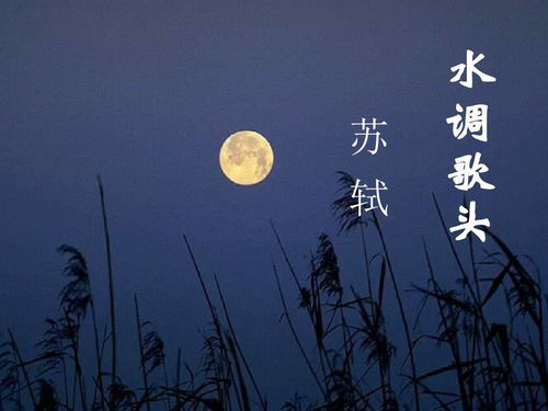《水调歌头》的全诗