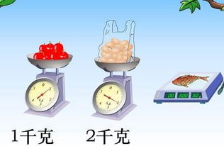1kg等于多少lbs