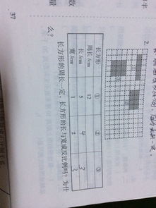 小学六年级正比例和反比例的概念