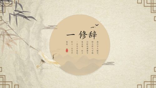 语言美怎么形容，语言美(大运会金牌得主)