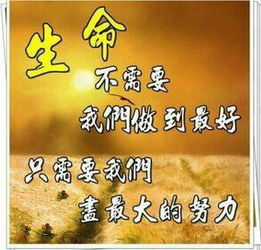 感恩父母养育之恩的文案