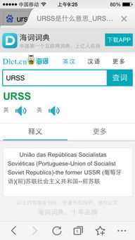 ie是什么意思