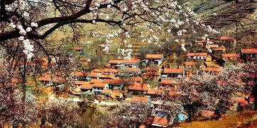 杏花村在哪儿，浙江杏花村在哪