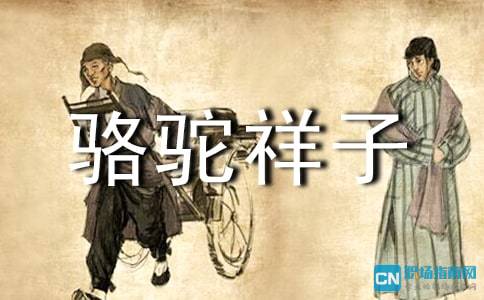 骆驼祥子读书笔记3000字大学生，骆驼祥子读书笔记3000字初中