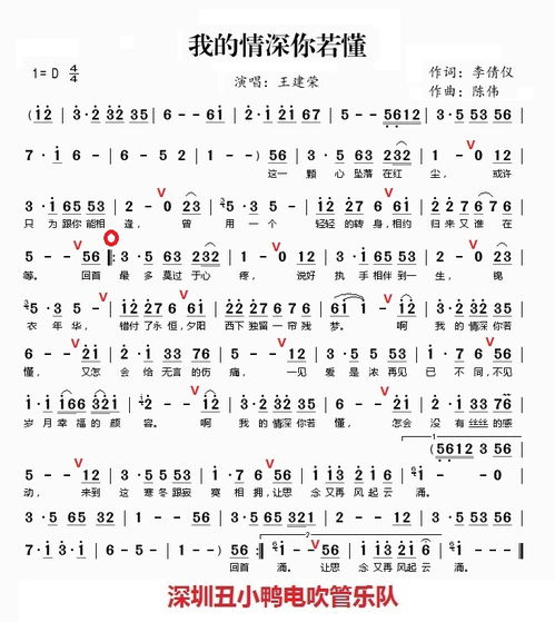 我的情深你若懂简谱原唱，我的情深你若懂简谱王韵唱