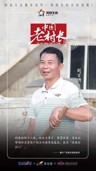 言言向晚周言结局是什么