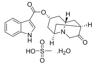 甲蟥酸多拉司琼，多拉司琼说明书