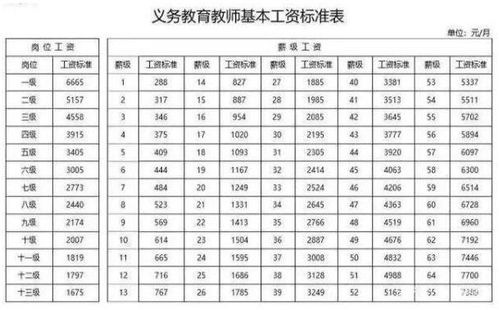 深圳教师工资多少钱一个月，大学教师工资多少钱一个月