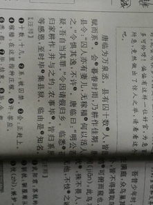 唐临为官文言文翻译阅读语调，唐临为官唐临是一个怎样的人