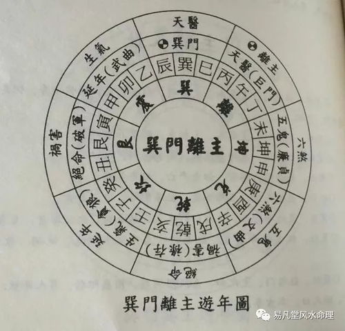 亥月五行属什么，亥月是什么意思