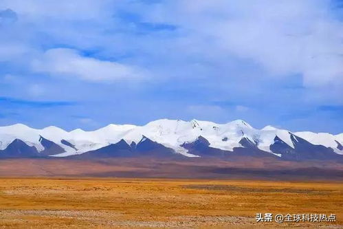 措是什么意思字典上的意思