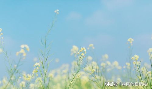 重耳和土块的这角度是什么