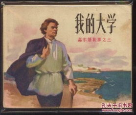 高尔基的故事视频，高尔基的故事简介