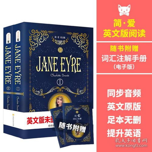 简爱英文简介120字左右，简爱英文简介50字左右