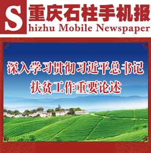 扶贫培训班心得体会300字，扶贫培训后的收获和感想
