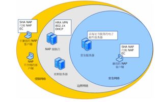 nap是什么意思中文翻译怎么读，cap是什么意思