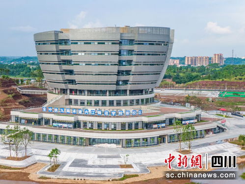 学校团青工作总结7篇