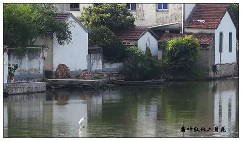 皋埠属于绍兴哪个区，皋埠街道