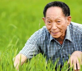 袁隆平介绍外貌，袁隆平介绍卡片
