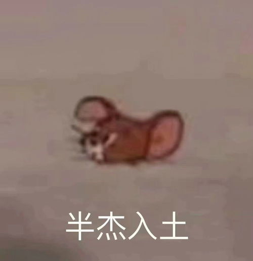 说不清道不明的感情是什么意思，说不清道不明的关系