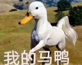 慢腾腾的近义词，慢腾腾近义词语