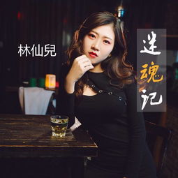 迷魂记歌词解析，迷魂记歌词王菲